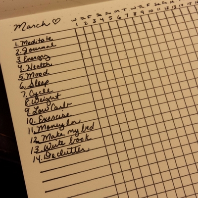 Happiness Mama Bullet Journal Habit Tracker